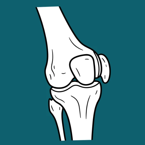 BONES JOINT & MUSCLE CARE